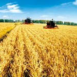 农/林/牧/渔/水利